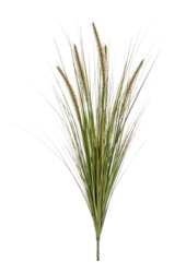 Plante artificielle Pennisetum
