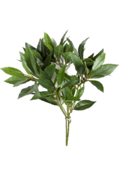 Plante artificielle Laurus Nobilis