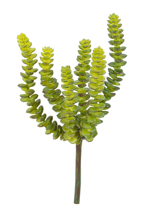 Crassula Perforata kunstplant