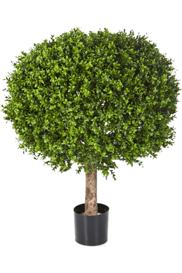 Plante artificielle de buis