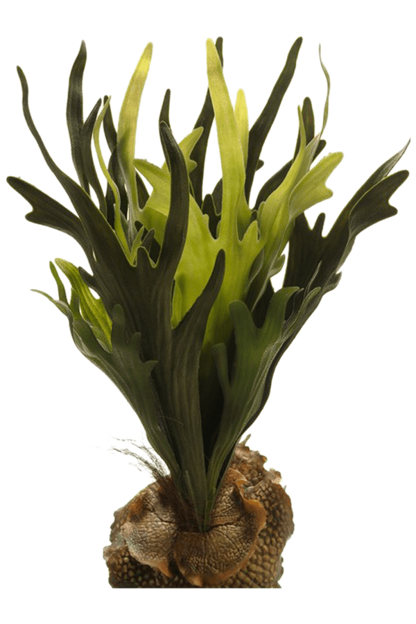 Plante artificielle Corne de cerf