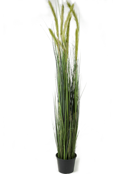 Kunstplant