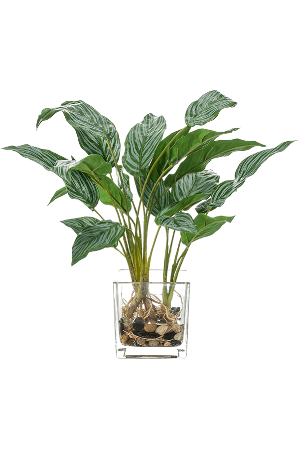 Aglaonema kunstplant