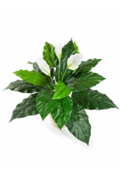 Spathiphyllum plante artificielle