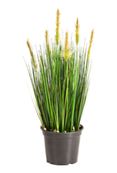 Grass Foxtail kunstplant