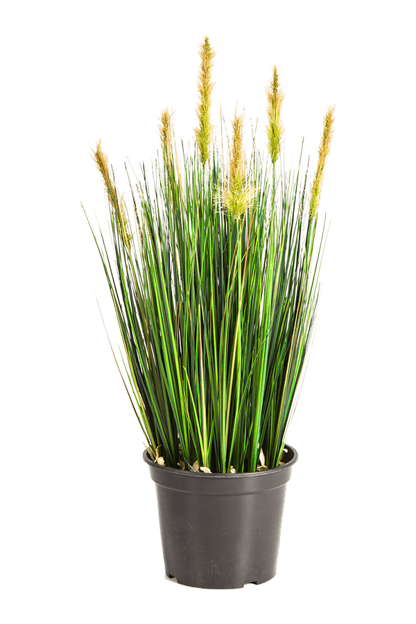 Grass Foxtail kunstplant