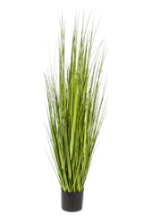 Grass Carex kunstplant