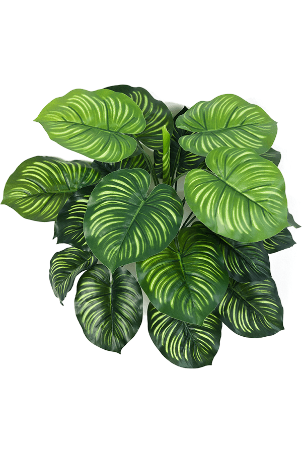 Plante artificielle Calathea