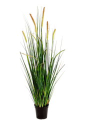 Grass Foxtail kunstplant