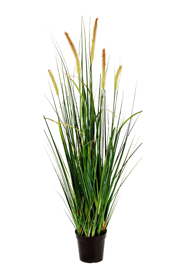 Grass Foxtail kunstplant