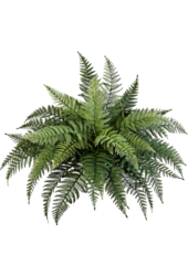 Fern kunstplant