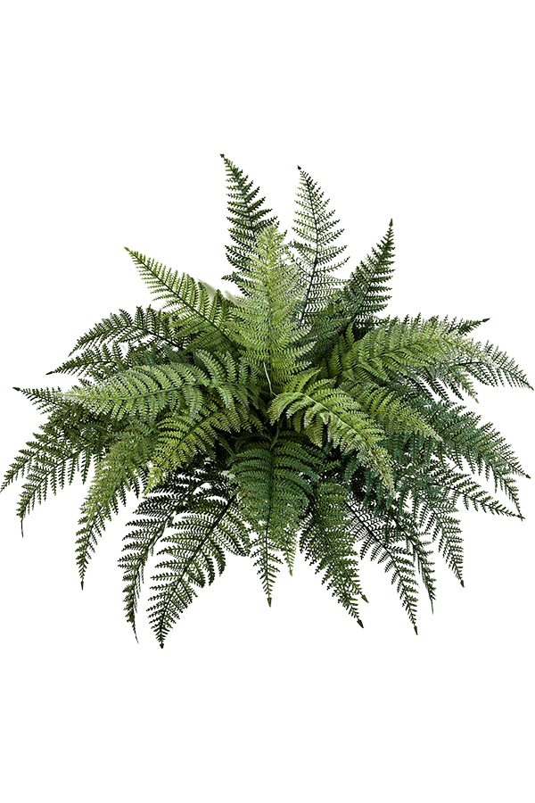 Fern kunstplant