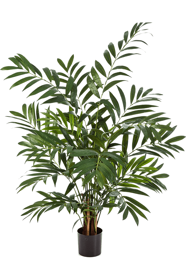 Plante artificielle Parlour