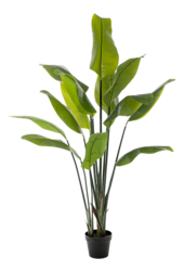 Strelitzia Traveller kunstplant