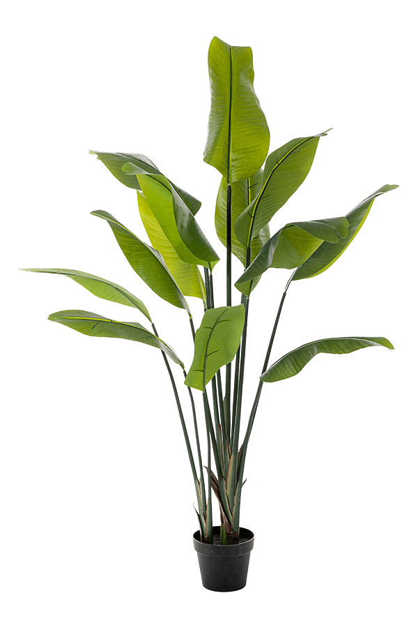 Strelitzia Traveller kunstplant