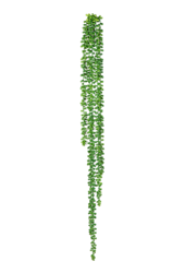 String Of Pearls kunstplant