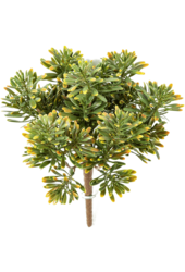 Miller plante artificielle