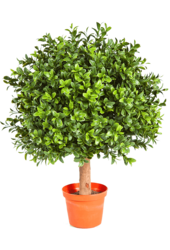 Plante artificielle de buis