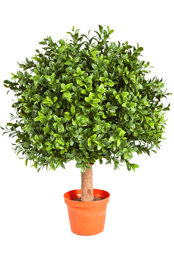 Boxwood kunstplant