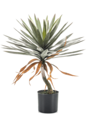 Yucca kunstplant
