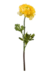 Ranunculus Spray 50 Cm kunstplant