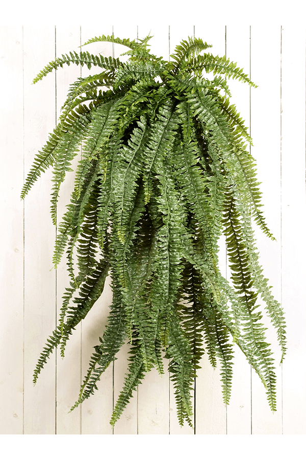 Fern kunstplant