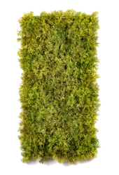Mousse plante artificielle 50cm x 20cm