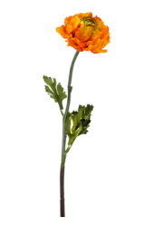 Ranunculus kunstplant