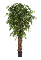 Ficus Liana kunstplant