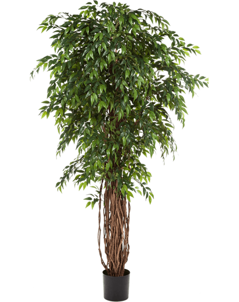 Kunstplant