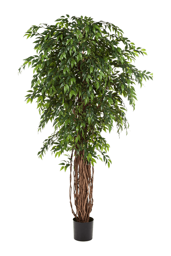 Ficus Liana kunstplant