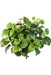 Philodendron artificiel