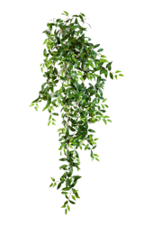 Tradescantia kunstplant