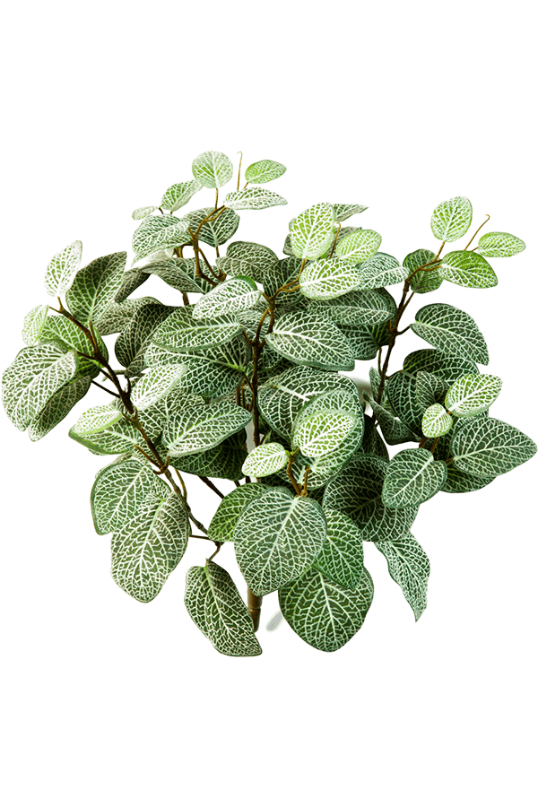 Fittonia kunstplant