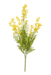 Mimosa kunstplant
