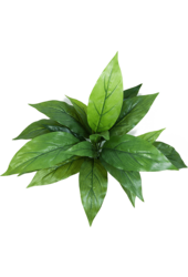 Plante artificielle Cordyline