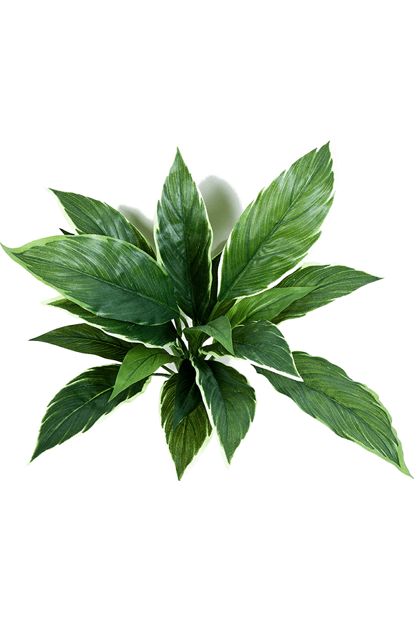 Cordyline artificielle