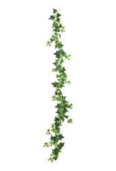Plante artificielle lierre