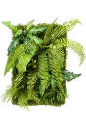 Plante artificielle Living Wall Mix