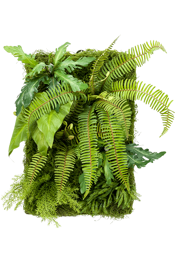 Plante artificielle Living Wall Mix