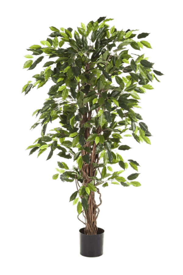 Ficus Liana kunstplant