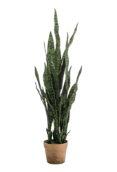 Sansevieria kunstplant