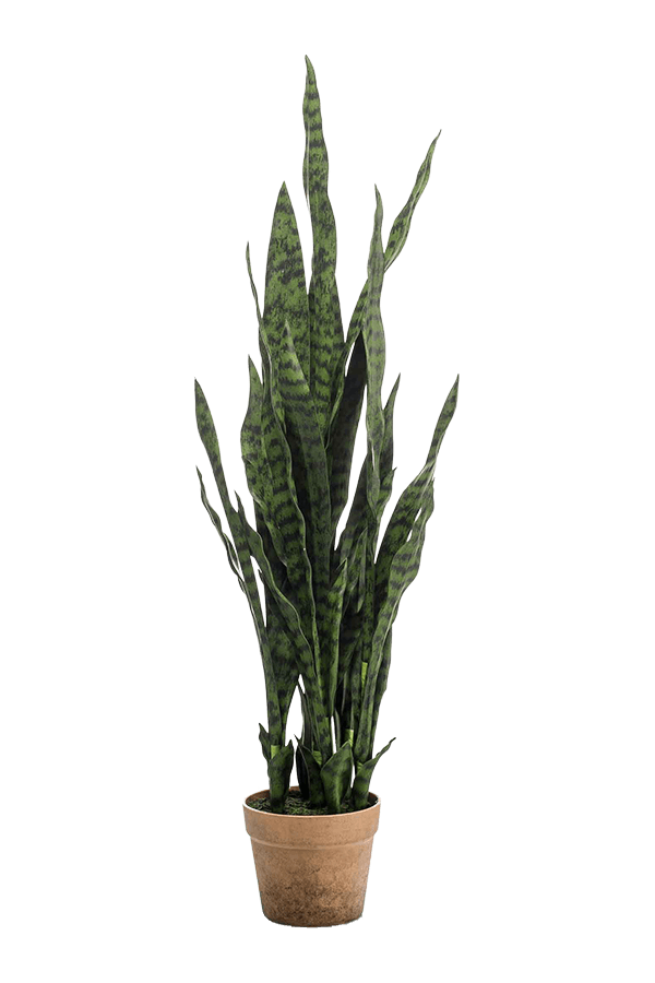 Sansevieria kunstplant