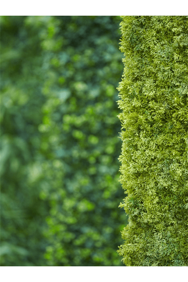 Plante artificielle Iceland Moss