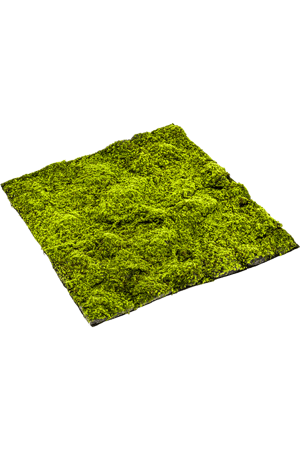 Plante artificielle Mousse de Sphaigne 100cm x 100cm