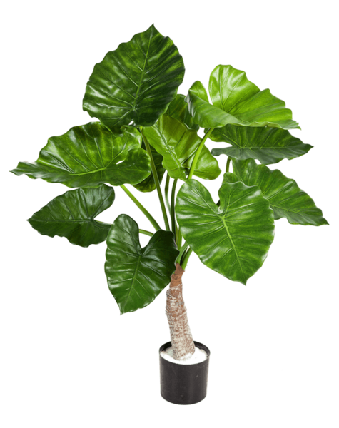 Kunstplant