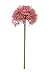 Plante artificielle Allium