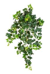 Plante artificielle lierre