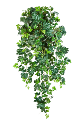 Plante artificielle lierre