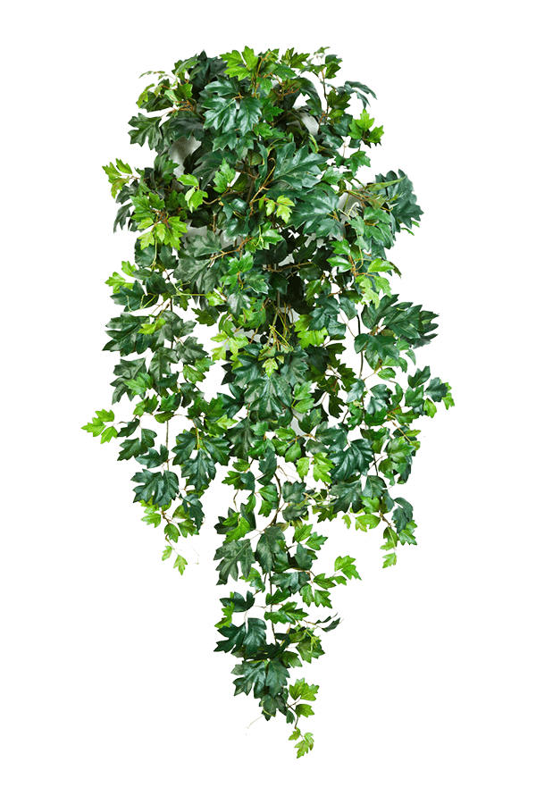Plante artificielle lierre